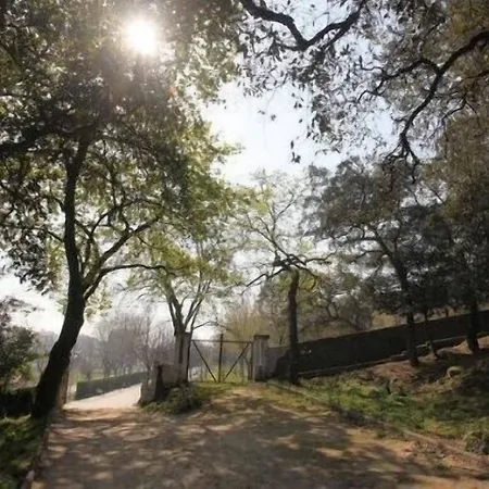 Hotel Palanca Oporto